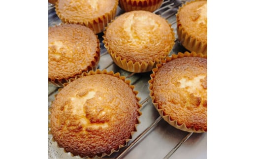 思い出のマドレーヌ8個セット レモン風味