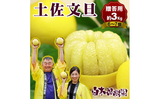【果樹園直送】土佐文旦 特選品贈答用 約3kg L～2Lサイズ 6～7個入り