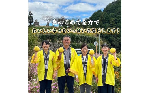 【果樹園直送】土佐文旦 特選品贈答用 約3kg L～2Lサイズ 6～7個入り