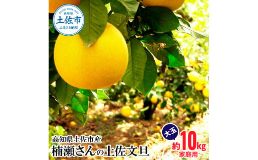 楠瀬さんの土佐文旦 家庭用大玉 約10kg  4L～2L