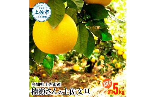 楠瀬さんの土佐文旦 訳あり 約5kg 約5キロ 4L～L