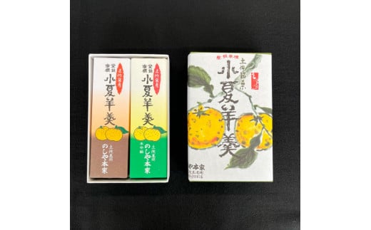 小夏羊かん（小）2本入り（小豆餡・てぼ餡 各1本）羊羹 ようかん 和菓子 お菓子 おかし おやつ スイーツ こなつ あずき 土佐銘菓 プレゼント 贈答 手土産 食品 お取り寄せ