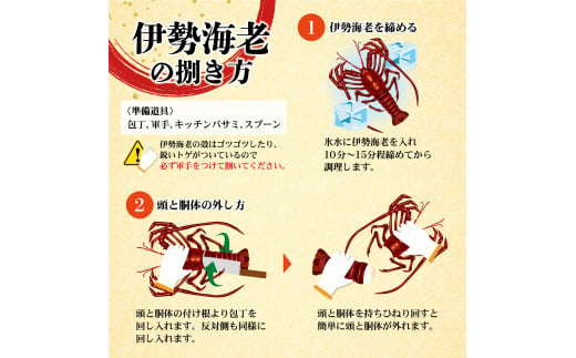 12月直送便 土佐獲れ 活伊勢海老 約700g（２尾～４尾） 天然 エビ　えび 伊勢エビ 海鮮 お刺身 刺し身 丸焼き しゃぶしゃぶ 故郷納税 ふるさとのうぜい 返礼品 高知県 高知 27000円