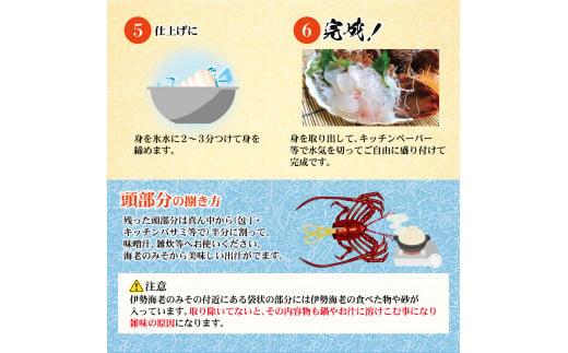 12月直送便 土佐獲れ 活伊勢海老 約700g（２尾～４尾） 天然 エビ　えび 伊勢エビ 海鮮 お刺身 刺し身 丸焼き しゃぶしゃぶ 故郷納税 ふるさとのうぜい 返礼品 高知県 高知 27000円