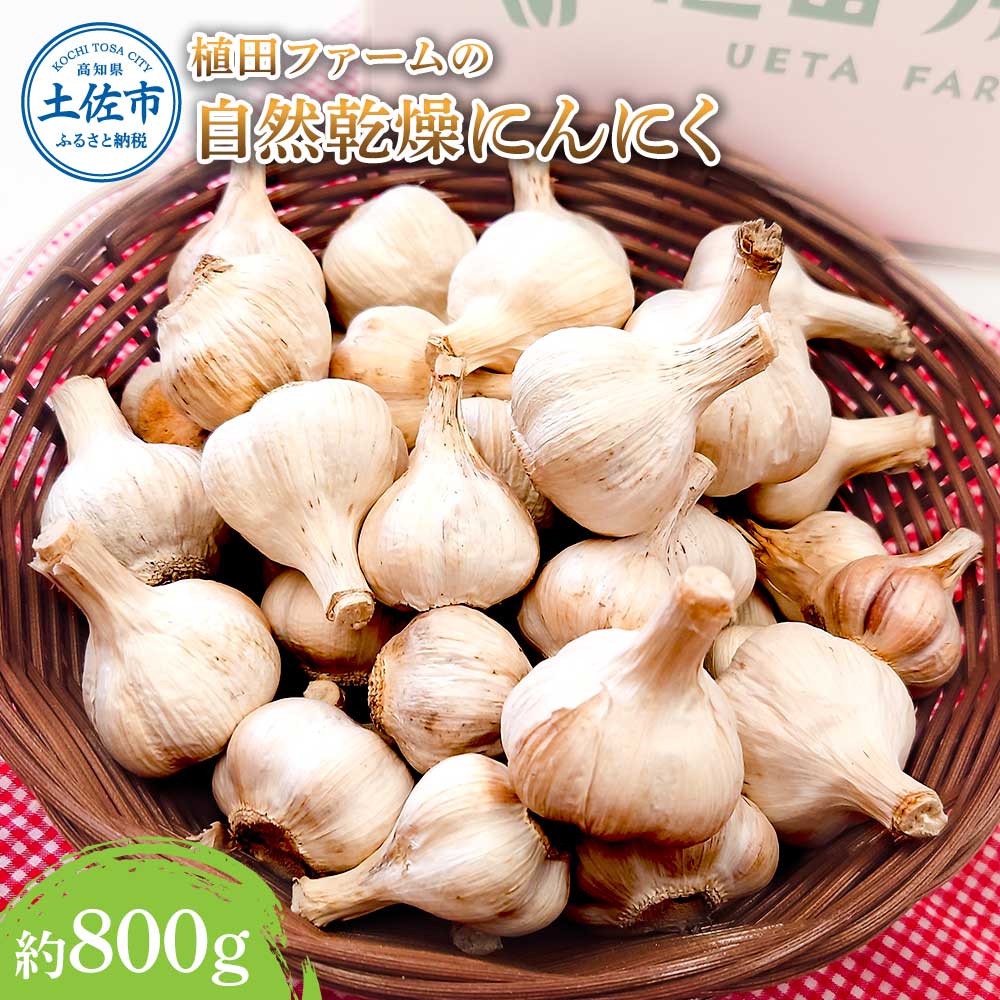 植田ファームの自然乾燥にんにく800g 800グラム ニンニク ガーリック おつまみ お酒 料理 醤油漬け ガーリックオイル ペペロンチーノ パスタ スパゲッティ ステーキ 無農薬 美味しい