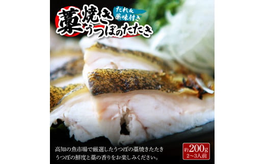 土佐の魚とお酒のおきゃくセット B（ウツボタタキコース）藁焼きウツボタタキ（タレ・薬味付）約200g 2～3人前  純米吟醸生原酒 CEL-24 720ml×2本