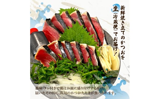 土佐の魚とお酒のおきゃくセット A（生鰹タタキコース）生かつおの藁焼きタタキ（タレ・薬味付き）500～700g 3～5人前 わら焼き 純米吟醸生原酒 CEL-24 720ml×2本 日本酒 お酒