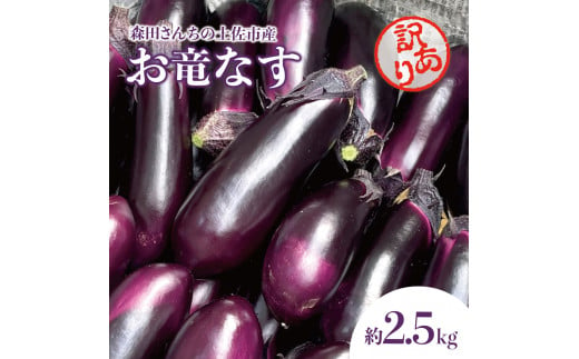 森田さんちの土佐市産お竜なす 訳あり 約2.5kg 2.5キロ 29～34本 1本約80g 茄子 ナス なすび 野菜 新鮮 焼き茄子 煮浸し 漬物 浅漬け ぬか漬け 味噌汁 おかず 訳アリ ご自宅用