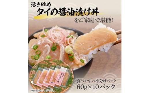 訳あり 活き締めタイの醤油漬け丼 10袋セット 60g 60グラム 訳アリ ワケアリ お茶漬け 出汁 醤油 タレ めんつゆ 惣菜 鯛 たい 真鯛 おつまみ 魚 魚介類 海鮮 新鮮 高鮮度