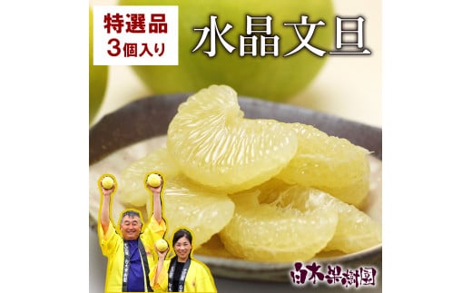 【先行予約】高知県産水晶文旦 特選ご贈答用 2Lサイズ 3個入り〈2026年10月上旬～11月上旬頃発送〉  /  ぶんたん ブンタン 水晶文旦 果物 柑橘 フルーツ お取り寄せ 特産品 おいしい【白木果樹園】 [BQAI017]