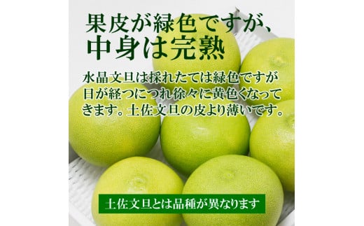 高知県産水晶文旦 特選ご贈答用 2Lサイズ 3個入り ぶんたん ブンタン 水晶文旦 果物 柑橘 フルーツ お取り寄せ 特産品 おいしい