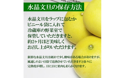 高知県産水晶文旦 特選ご贈答用 2Lサイズ 3個入り ぶんたん ブンタン 水晶文旦 果物 柑橘 フルーツ お取り寄せ 特産品 おいしい