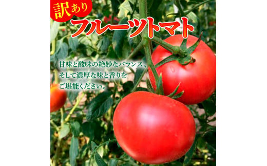 【先行予約】フルーツトマト 訳あり 約3kg <2027年1月〜発送> / 大小混合 3キロ トマト とまと ふるーつとまと 高知 桃太郎 完熟 糖度8度以上 濃厚 野菜 料理 サラダ マリネ おいしい 新鮮 訳アリ【池トマト】[BQAG054]