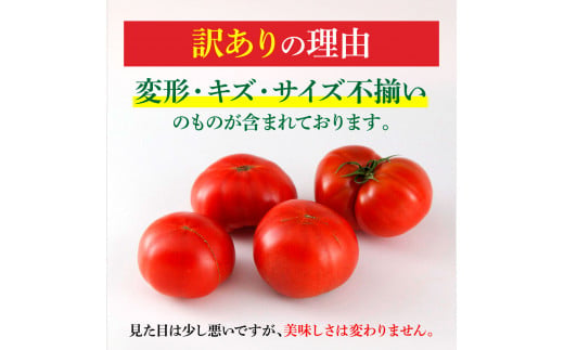 訳あり フルーツトマト 2kg 大小混合 2キロ トマト とまと ふるーつとまと 桃太郎 完熟 糖度8度以上 濃厚 野菜 料理 サラダ マリネ おいしい 新鮮 食品 訳アリ 家庭用 ご自宅用