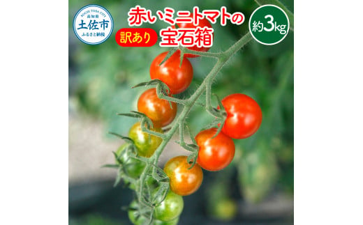 【先行予約】訳あり 赤いミニトマトの宝石箱 約3キロ 約3kg〈2026年11月下旬～2027年5月下旬まで〉 トマト とまと ミックス 詰め合わせ セット 野菜 料理 サラダ マリネ パスタ 浅漬け おやつ 弁当 甘味 酸味 新鮮 訳アリ 高知県 土佐市【ファーム輝】 [BQBM011]