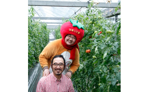 訳あり 赤いミニトマトの宝石箱 約1キロ 約1kg