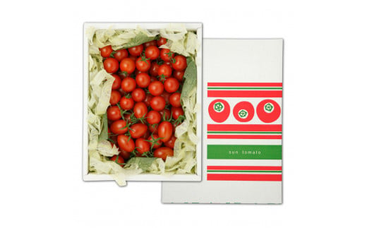 訳あり 赤いミニトマトの宝石箱 約1キロ 約1kg