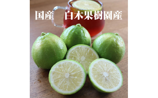 ＜果樹園直送＞ 白木果樹園産 ベルガモット 約2kg 1キロ 10～15個入り