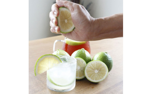 ＜果樹園直送＞ 白木果樹園産 ベルガモット 約2kg 1キロ 10～15個入り