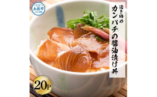 訳あり 活き締めカンパチの醤油漬け丼(20P)セット かんぱち 醤油 特製タレ 惣菜 魚 魚介類 海鮮 海鮮丼 お茶漬け 新鮮 高鮮度 ご自宅用 ご家庭用 美味しい 小分け 個包装 お取り寄せ 国産