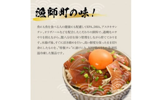 活き締めブリの醤油漬け丼 10パックセット