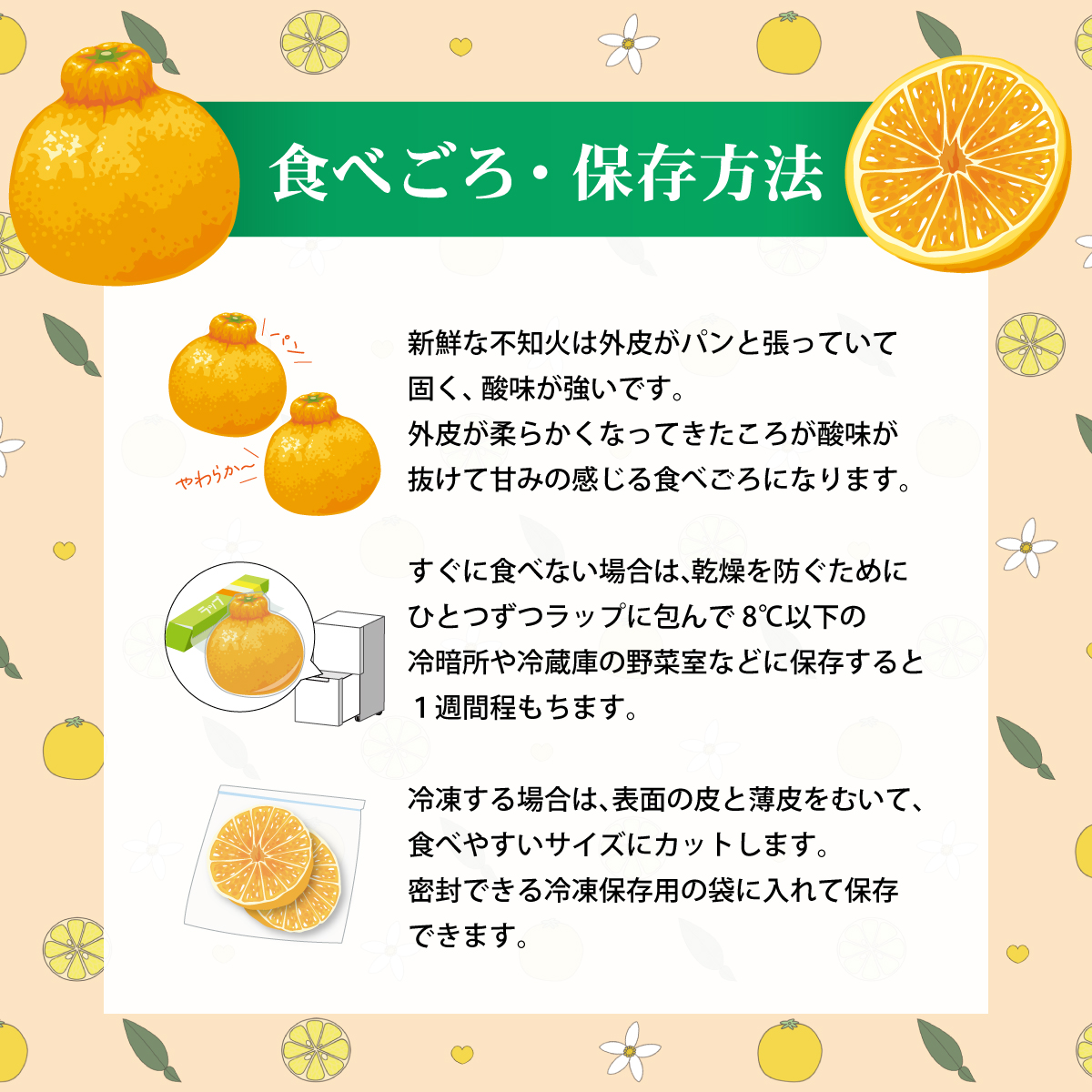 土佐文旦と温室不知火(シラヌイ)の詰め合わせ 約3kg セット 詰め合わせ ぶんたん ブンタン 果物 フルーツ 柑橘 しらぬい みかん ミカン 故郷納税 ふるさとのうぜい 返礼品 高知県 高知