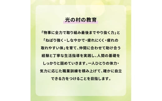 木工干支とかぼちゃの置物セット 干支 十二支 巳 2025年 巳年 へび年 ヘビ 蛇 木工 木製 約200g 南瓜 かぼちゃ カボチャ 手作り ハンドメイド 杉材 杉 さをり 国産 ギフト プレゼント