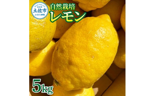 自然栽培レモン5kg