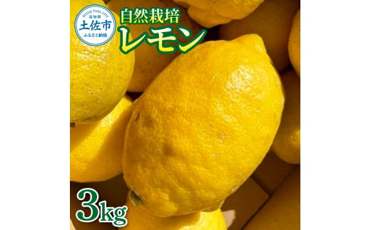 自然栽培レモン3kg 3キロ レモン 檸檬 れもん 自然栽培 無農薬 柑橘類 柑橘 フルーツ 果物 くだもの レモネード 塩レモン はちみつレモン レモンスカッシュ レモンサワー ビタミンC