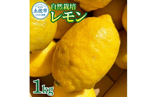 自然栽培レモン1kg 1キロ レモン 檸檬 れもん 自然栽培 無農薬 柑橘類 柑橘 フルーツ 果物 くだもの レモネード 塩レモン はちみつレモン レモンスカッシュ レモンサワー ビタミンC