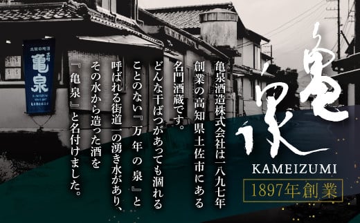 純米吟醸原酒 CEL-24 720ml （生酒） 2本セット お酒 酒 さけ 日本酒 純米吟醸 原酒 アルコール 度数 14度 地酒 亀泉 cel24 セル24 純米吟醸生原酒 人気 甘口 フルーティ