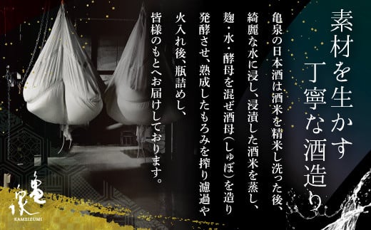 純米吟醸原酒 CEL-24 720ml （生酒） 2本セット お酒 酒 さけ 日本酒 純米吟醸 原酒 アルコール 度数 14度 地酒 亀泉 cel24 セル24 純米吟醸生原酒 人気 甘口 フルーティ