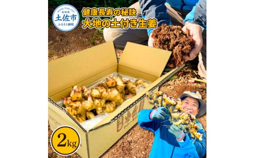 健康長寿の秘訣 大地の土付き生姜2kg 〈2026年11月中旬～2027年7月下旬発送〉国産 生ショウガ しょうが ショウガ ジンジャー ジンジャーエール ショウガシロップ 生姜焼き 薬味 野菜 料理 健康 生姜湯 新鮮 高知県 土佐市【やの一果彩】[BQAC040]