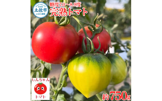 完熟トマト しんちゃんトマト 約750g 糖度7.0～8.9度 とまと トマト 野菜 やさい 料理 サラダ マリネ 甘味 酸味 食品 食べ物 リコピン おいしい お取り寄せ