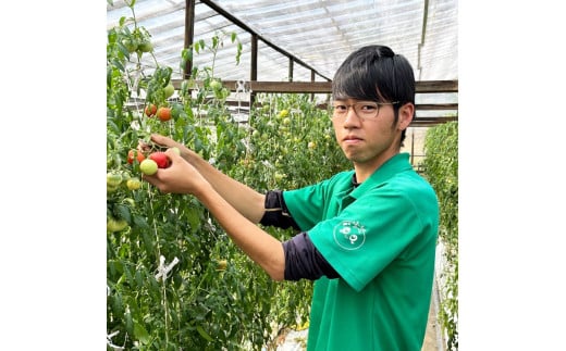 完熟トマト しんちゃんトマト 約750g 糖度7.0～8.9度 とまと トマト 野菜 やさい 料理 サラダ マリネ 甘味 酸味 食品 食べ物 リコピン おいしい お取り寄せ