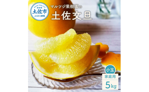 マルツジ果樹園の土佐文旦 家庭用(小玉) 約5kg 5キロ M～Lサイズ 12～17個入り