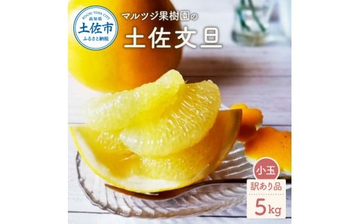 マルツジ果樹園の土佐文旦 訳あり品(小玉) 約5キロ 5kg M～Lサイズ 12～17個入り
