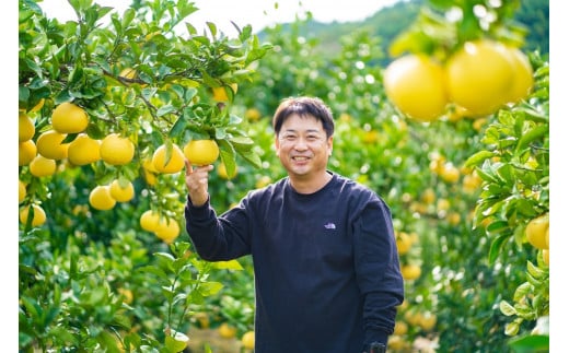 【日本ギフト大賞2024受賞】園主こだわりミニチュア土佐文旦ぶんたん 3kg 10～12玉 超小玉土佐文旦 ブンタン フルーツ 柑橘 みかん 果物 柑橘類 デザート プレゼント ギフト 贈り物 国産