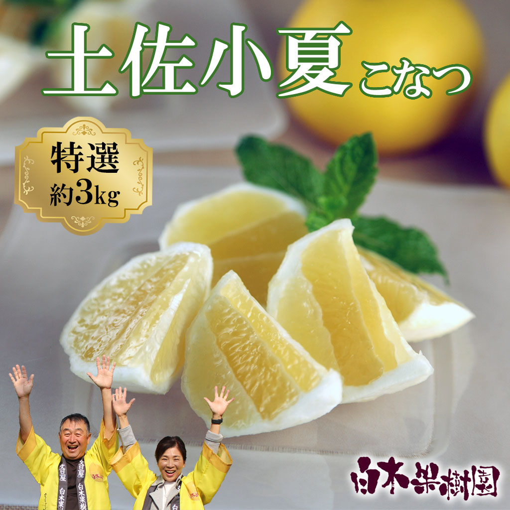 ＜果樹園直送＞土佐小夏 特選品贈答用 約3kg