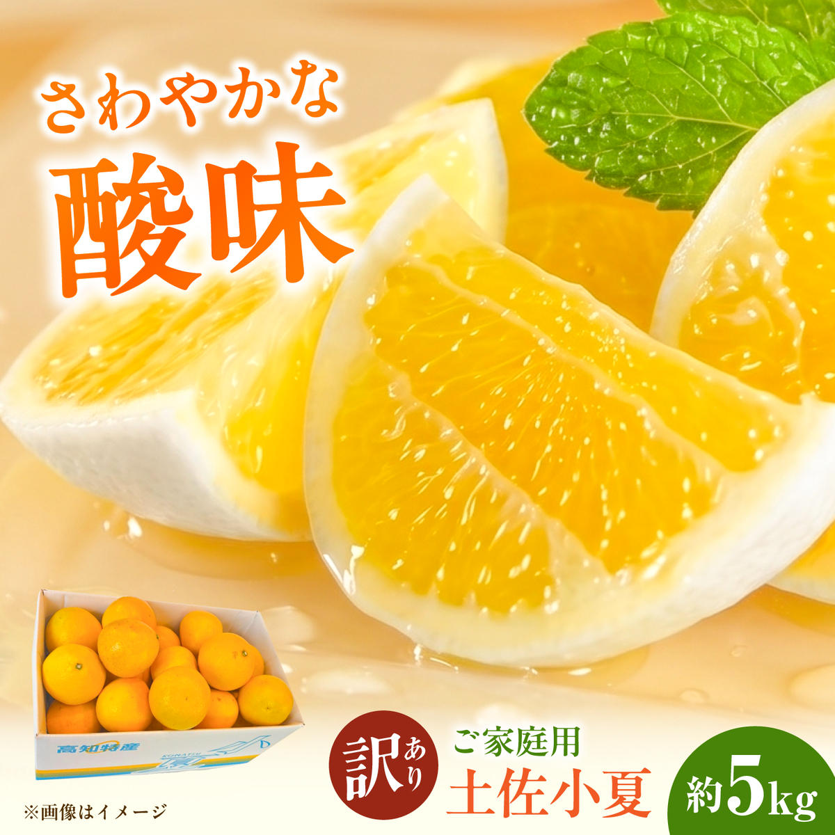 【先行予約】＜白木果樹園＞ 土佐小夏 訳ありご家庭用 約5kg〈2026年5月下旬～6月下旬頃発送〉  / 5キロ こなつ 柑橘 かんきつ 柑橘類 フルーツ 日向夏 ニューサマーオレンジ 西内小夏 果物 くだもの【白木果樹園】 [BQAI034]