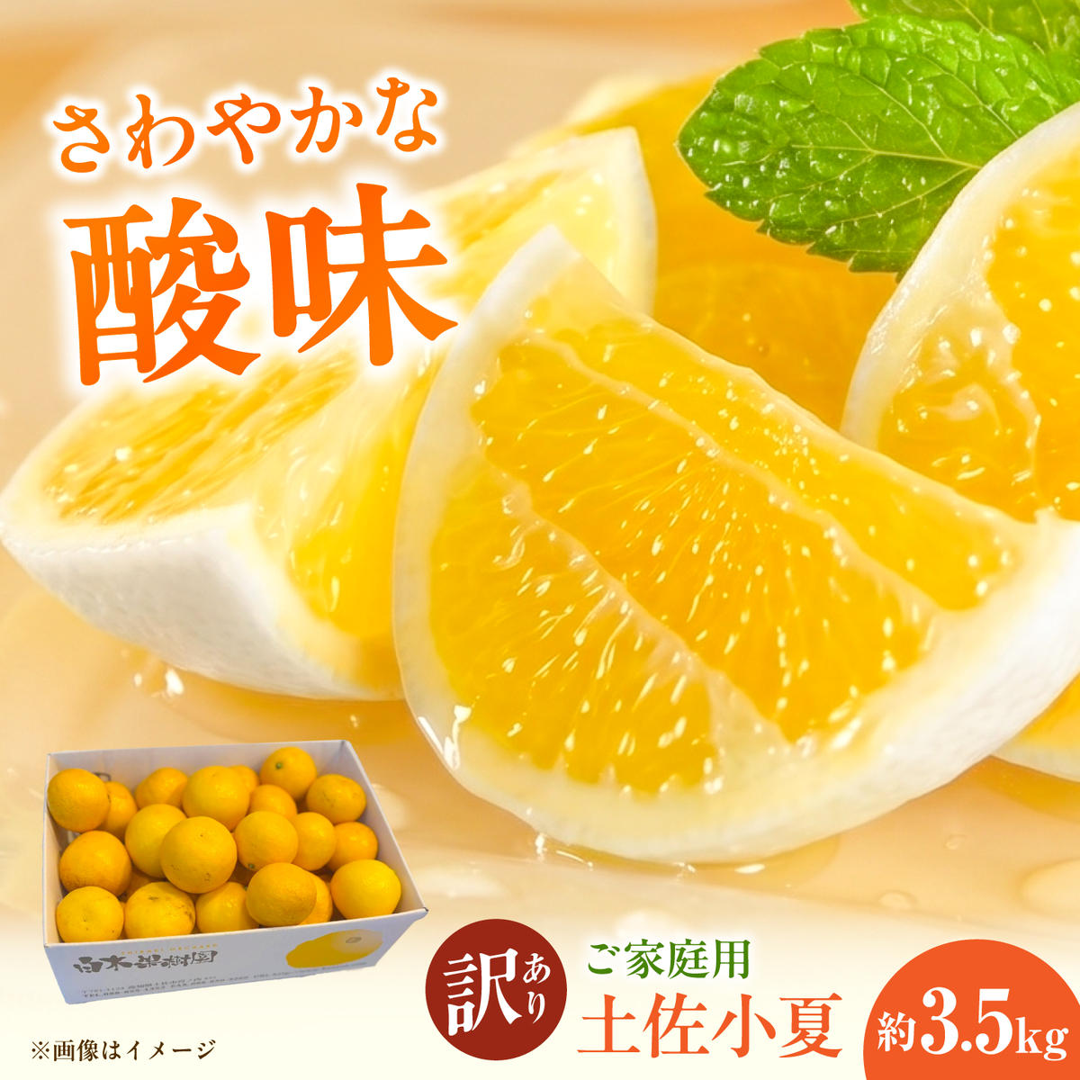 【先行予約】＜白木果樹園＞ 土佐小夏 訳ありご家庭用 約3.5kg 3.5キロ〈2026年5月下旬～6月下旬頃発送〉  / こなつ 柑橘 かんきつ 柑橘類 フルーツ 日向夏 ニューサマーオレンジ 西内小夏 果物【白木果樹園】 [BQAI033]