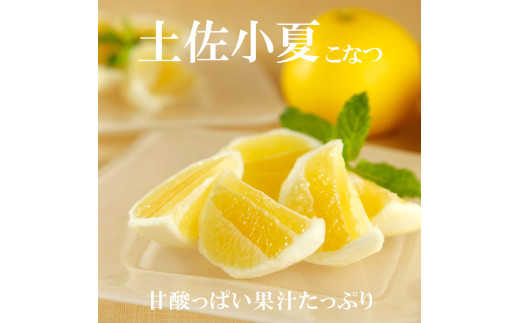 先行予約　＜白木果樹園＞ 土佐小夏 訳ありご家庭用 約3.5kg