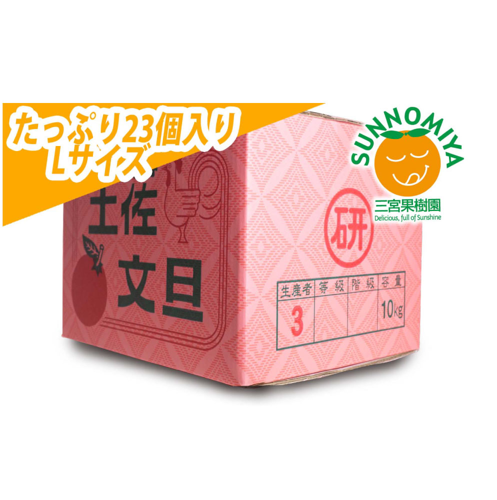 三宮果樹園の土佐文旦 ご家庭用Lサイズ 10kg