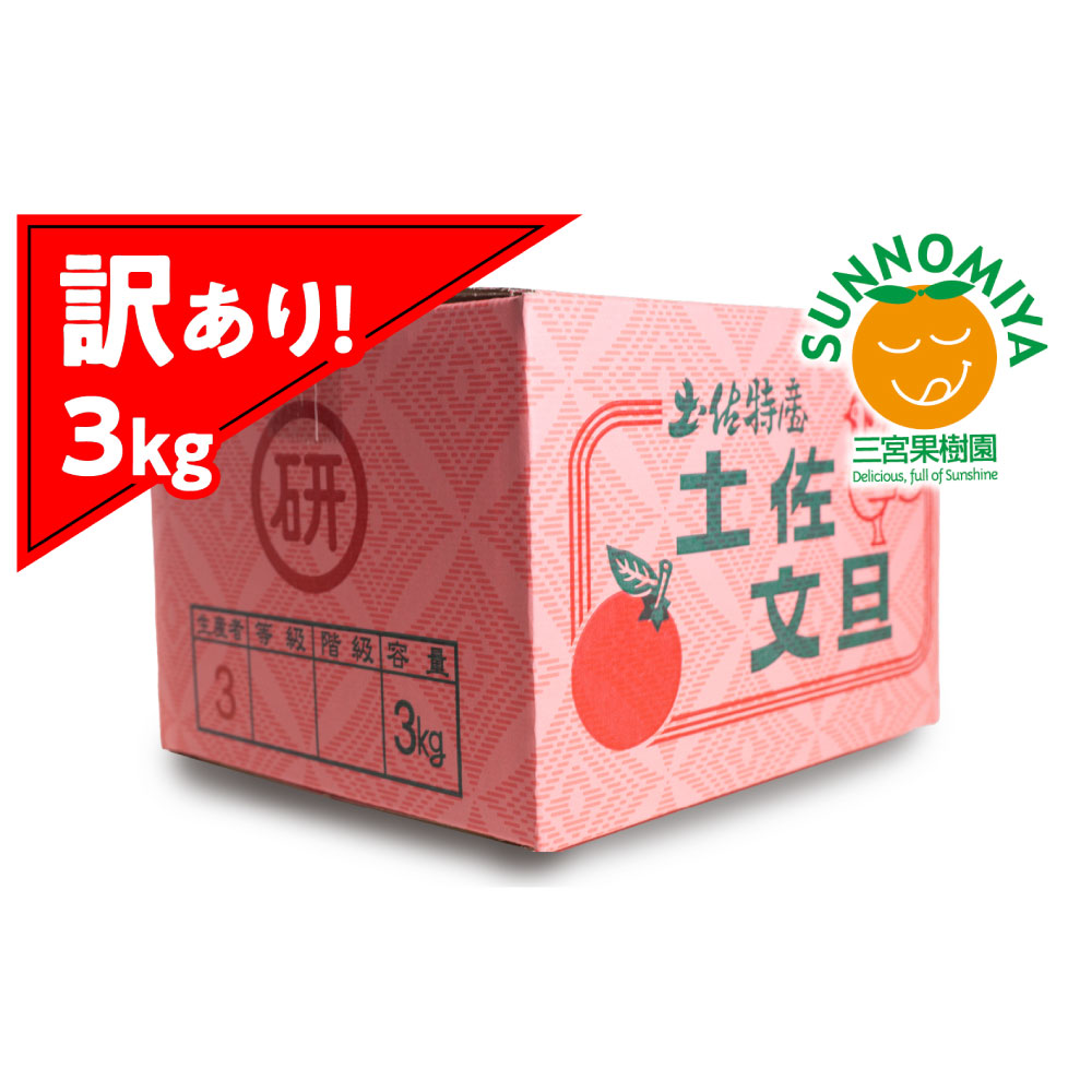 三宮果樹園の土佐文旦 訳あり 3kg ぶんたん ブンタン 3キロ 6玉前後 フルーツ 柑橘 みかん 果物 くだもの 柑橘類 デザート ご自宅用 ご家庭用 自分用 お取り寄せ わけあり 国産