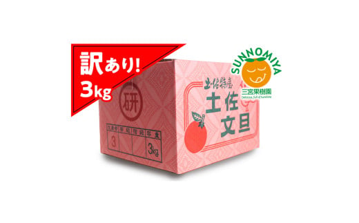 三宮果樹園の土佐文旦 訳あり 3kg ぶんたん ブンタン 3キロ 6玉前後 フルーツ 柑橘 みかん 果物 くだもの 柑橘類 デザート ご自宅用 ご家庭用 自分用 お取り寄せ わけあり 国産