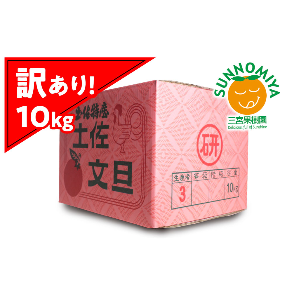 三宮果樹園の土佐文旦 訳あり 10kg ぶんたん ブンタン 10キロ 20玉前後 フルーツ 柑橘 みかん 果物 くだもの 柑橘類 デザート ご自宅用 ご家庭用 自分用 お取り寄せ わけあり 国産