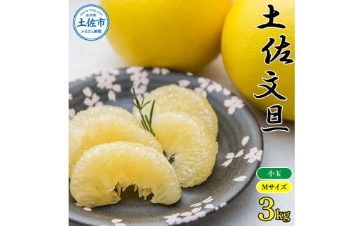 【先行予約】【訳あり】農家直送 土佐市産 土佐文旦 小玉 約3kg 7～10玉入 〈2027年2月〜発送〉 家庭用 訳あり ３キロ Mサイズ 傷 文旦 ぶんたん ぼんたん フルーツ 果物 くだもの 柑橘 みかん 高知県 土佐市【株式会社種田農園】 [BQBW009]