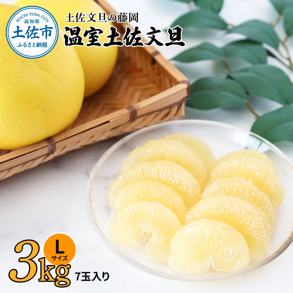 温室土佐文旦 3kg 7玉入り Lサイズ