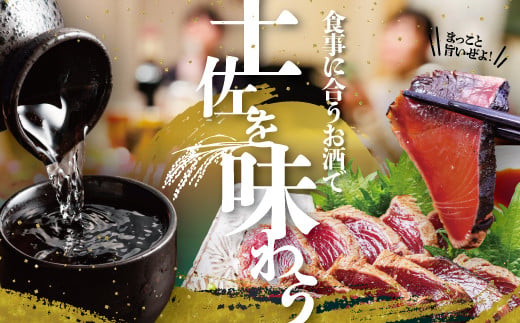 純米吟醸原酒 CEL-24 720ml （生酒） 2本セット お酒 酒 さけ 日本酒 純米吟醸 原酒 アルコール 度数 14度 地酒 亀泉 cel24 セル24 純米吟醸生原酒 人気 甘口 フルーティ