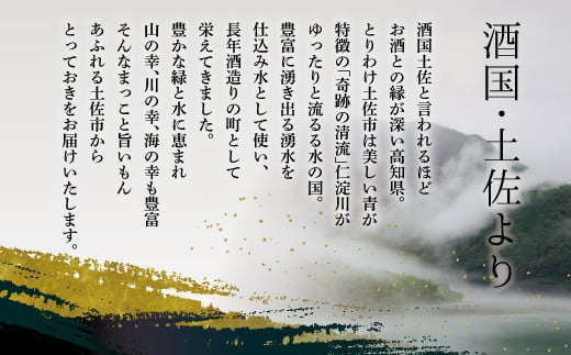 純米吟醸原酒 CEL-24 720ml （生酒） 2本セット お酒 酒 さけ 日本酒 純米吟醸 原酒 アルコール 度数 14度 地酒 亀泉 cel24 セル24 純米吟醸生原酒 人気 甘口 フルーティ